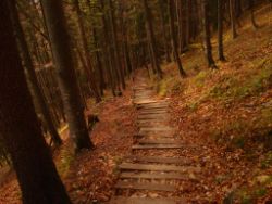 2013-10-25_Baumgartenscheidt (240).JPG